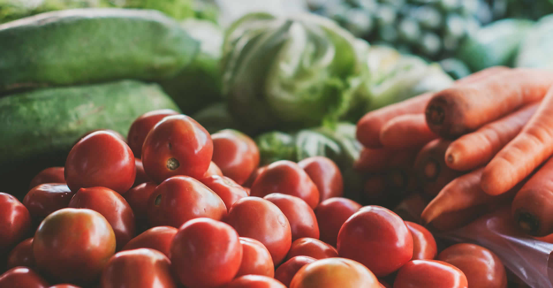 Agrigrow - Innovative Agrikit Tools