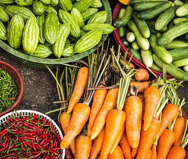 Organic Farming Success Stories