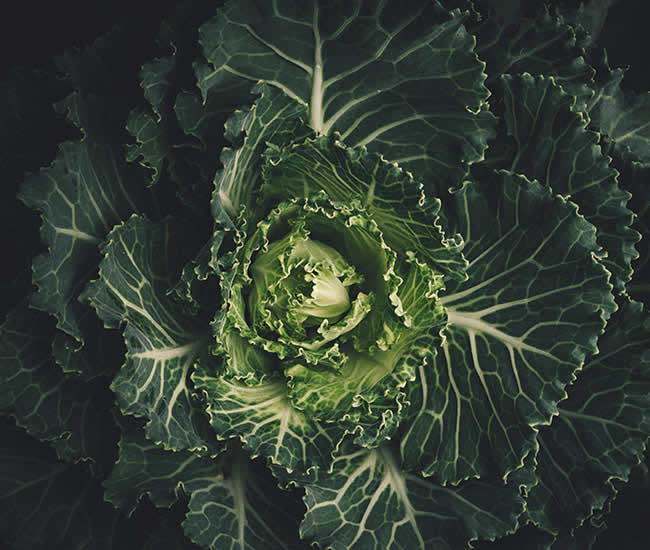 Sustainable Farming Practices