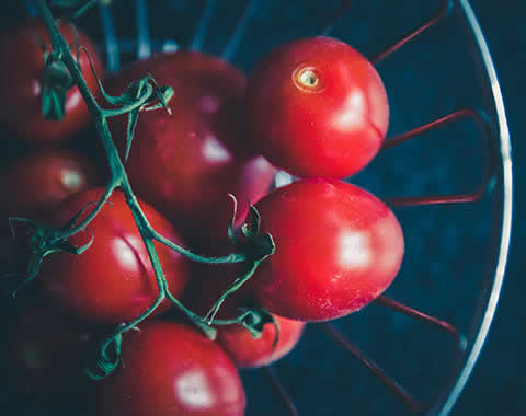 Healthy Organic Crops