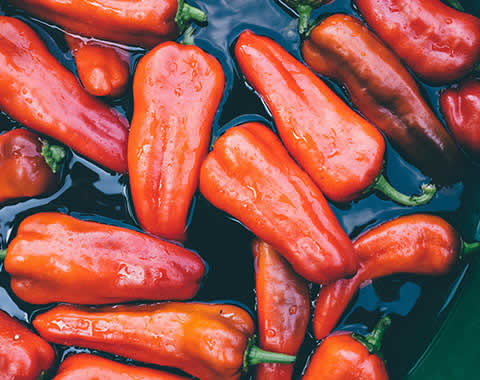 Cutting-edge Farming Technology