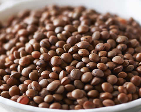 Community Agricultural Events